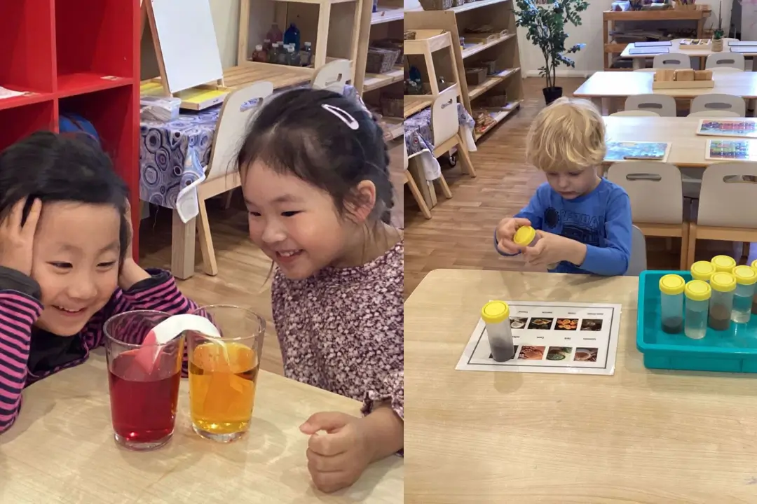 Wonder Years Early Learning Centre